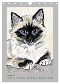 PortraiTierART Samtpfötchen (Wandkalender 2024 DIN A4 hoch), CALVENDO Monatskalender