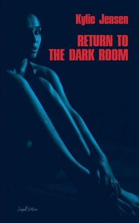 Produktbild: Return to the Dark Room