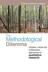 Produktbild: The Methodological Dilemma
