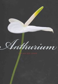 Produktbild: Anthurium