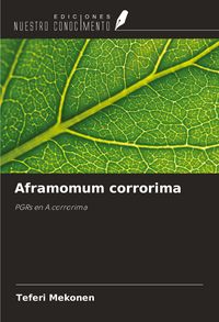 Produktbild: Aframomum corrorima
