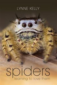 Produktbild: Spiders