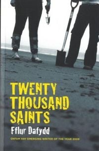 Produktbild: Twenty Thousand Saints