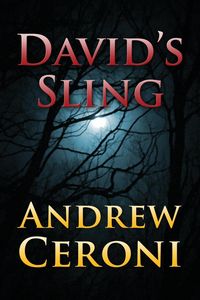 Produktbild: David's Sling