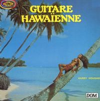 Die Hawaigitarre