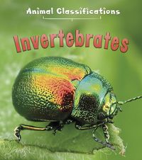 Produktbild: Invertebrates