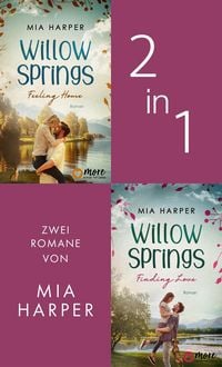 Produktbild: Willow Springs - Feeling Home & Finding Love