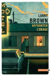 Produktbild: Affronter l'orage