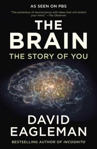 Bild vom Artikel The Brain: The Story of You vom Autor David Eagleman