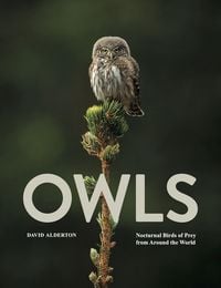 Produktbild: Owls