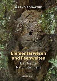 Produktbild: Elementarwesen und Feenwelten