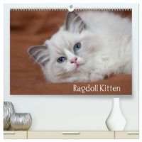 Produktbild: Ragdoll Kitten (hochwertiger Premium Wandkalender 2027 DIN A2 quer), Kunstdruck in Hochglanz