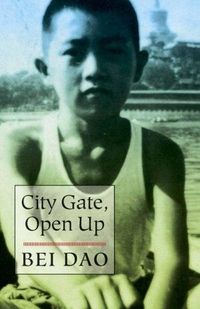 Produktbild: City Gate, Open Up