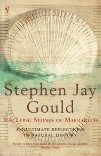 Produktbild: The Lying Stones of Marrakech