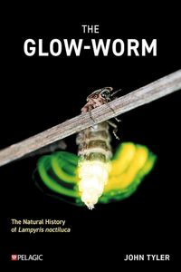 Produktbild: The Glow-worm