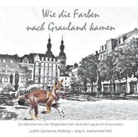 Produktbild: Wie die Farben nach Grauland kamen