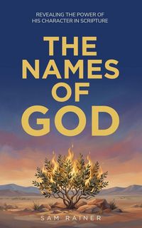 Produktbild: The Names of God
