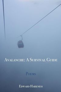 Produktbild: Avalanche