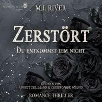 Produktbild: Zerst&ouml;rt - Du entkommst ihm nicht