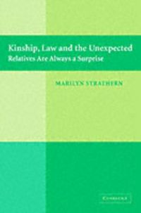 Produktbild: Kinship, Law and the Unexpected