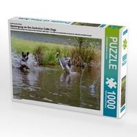 Produktbild: CALVENDO Puzzle Ein Motiv aus dem Kalender Spaziergang am See Australian Cattle Dogs | 1000 Teile Lege-Gr&ouml;&szlig;e 64x48cm Foto-Puzzle f&uuml;r gl&uuml;ckliche Stunden