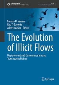 Produktbild: The Evolution of Illicit Flows
