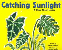 Produktbild: Catching Sunlight