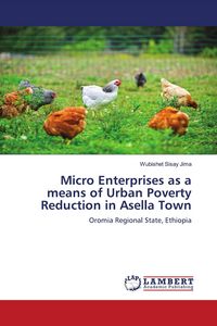 Produktbild: Micro Enterprises as a means of Urban Poverty Reduction in Asella Town