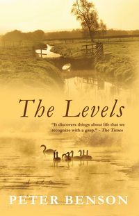 Produktbild: Benson, P: The Levels