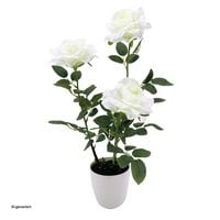 Produktbild: NTK-Collection NTK-Collection Kunstblume Rosen im Topf Leilani