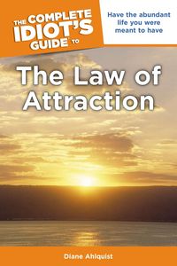 Produktbild: Comp Idiots Gt The Law Of Attr