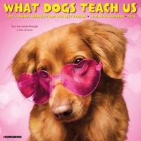 Produktbild: What Dogs Teach Us 2026 Wall Calendar