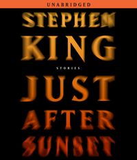 Produktbild: Just After Sunset