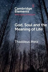 Produktbild: God, Soul and the Meaning of Life