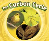 Produktbild: Carbon Cycle