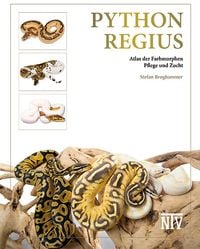 Produktbild: Python regius