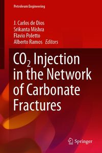 Produktbild: CO2 Injection in the Network of Carbonate Fractures