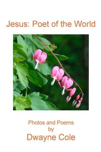 Produktbild: Jesus Poet of the World