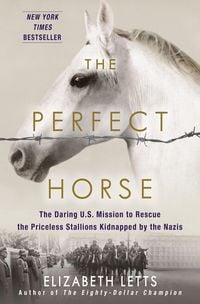 Produktbild: Letts, E: Perfect Horse