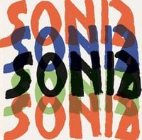 Produktbild: Sonia Delaunay