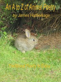 Produktbild: An A to Z of Animal Poetry