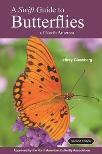 Produktbild: A Swift Guide to Butterflies of North America