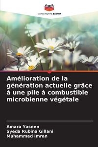 Produktbild: Am&eacute;lioration de la g&eacute;n&eacute;ration actuelle gr&acirc;ce &agrave; une pile &agrave; combustible microbienne v&eacute;g&eacute;tale