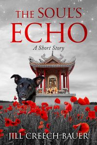 Produktbild: The Soul's Echo: A Short Story