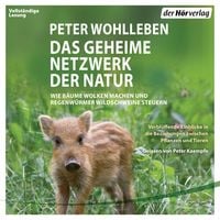 Produktbild: 