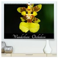 Produktbild: Wunderbare Orchideen (hochwertiger Premium Wandkalender 2026 DIN A2 quer), Kunstdruck in Hochglanz