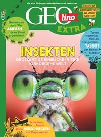 Produktbild: GEOlino Extra / GEOlino extra 101/2023 - Insekten