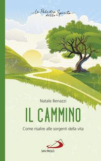 Produktbild: Il cammino