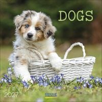 Produktbild: Dogs 2027