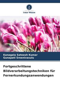 Produktbild: Fortgeschrittene Bildverarbeitungstechniken f&uuml;r Fernerkundungsanwendungen